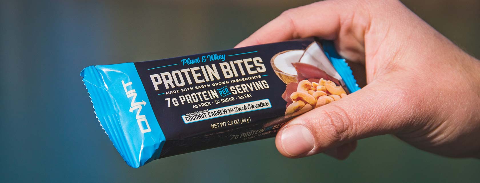 Protein Bites Onnit